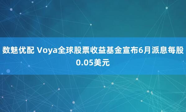 数魅优配 Voya全球股票收益基金宣布6月派息每股0.05美元