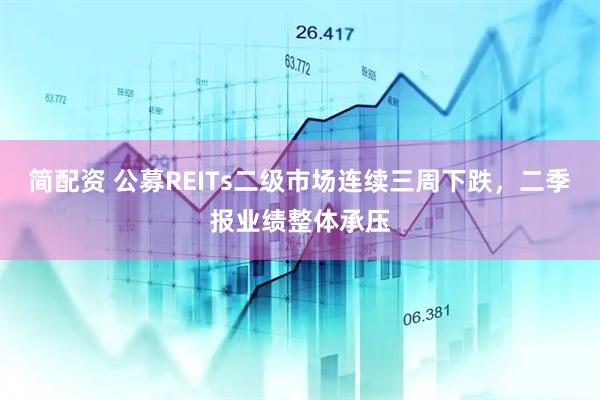 简配资 公募REITs二级市场连续三周下跌，二季报业绩整体承压