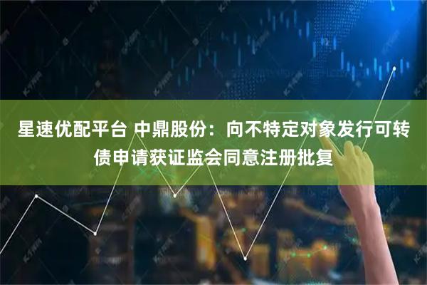 星速优配平台 中鼎股份：向不特定对象发行可转债申请获证监会同意注册批复